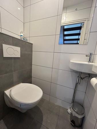 Marshallsingel 23015.JPG